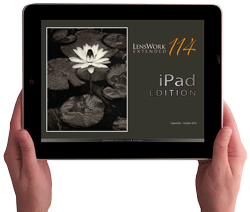 iPad Edition